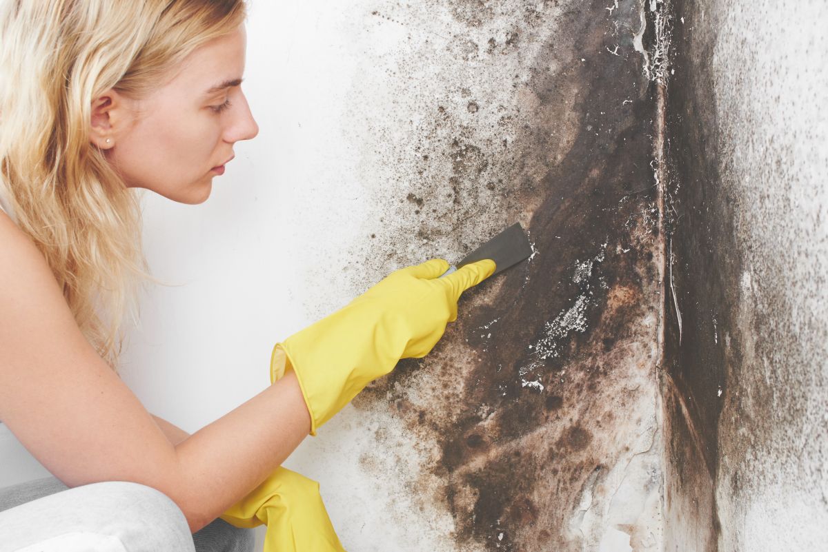 Mold Remediation
