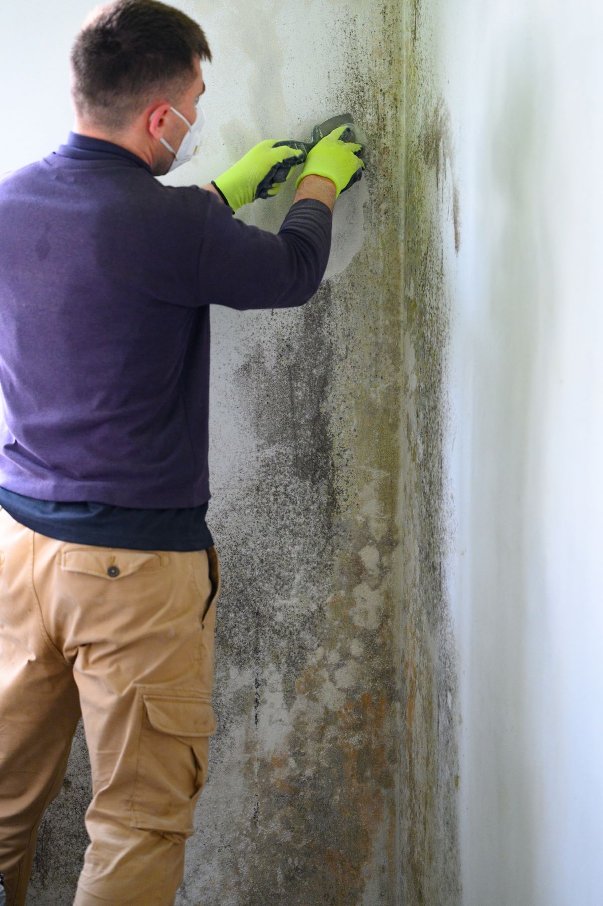 Mold Testing