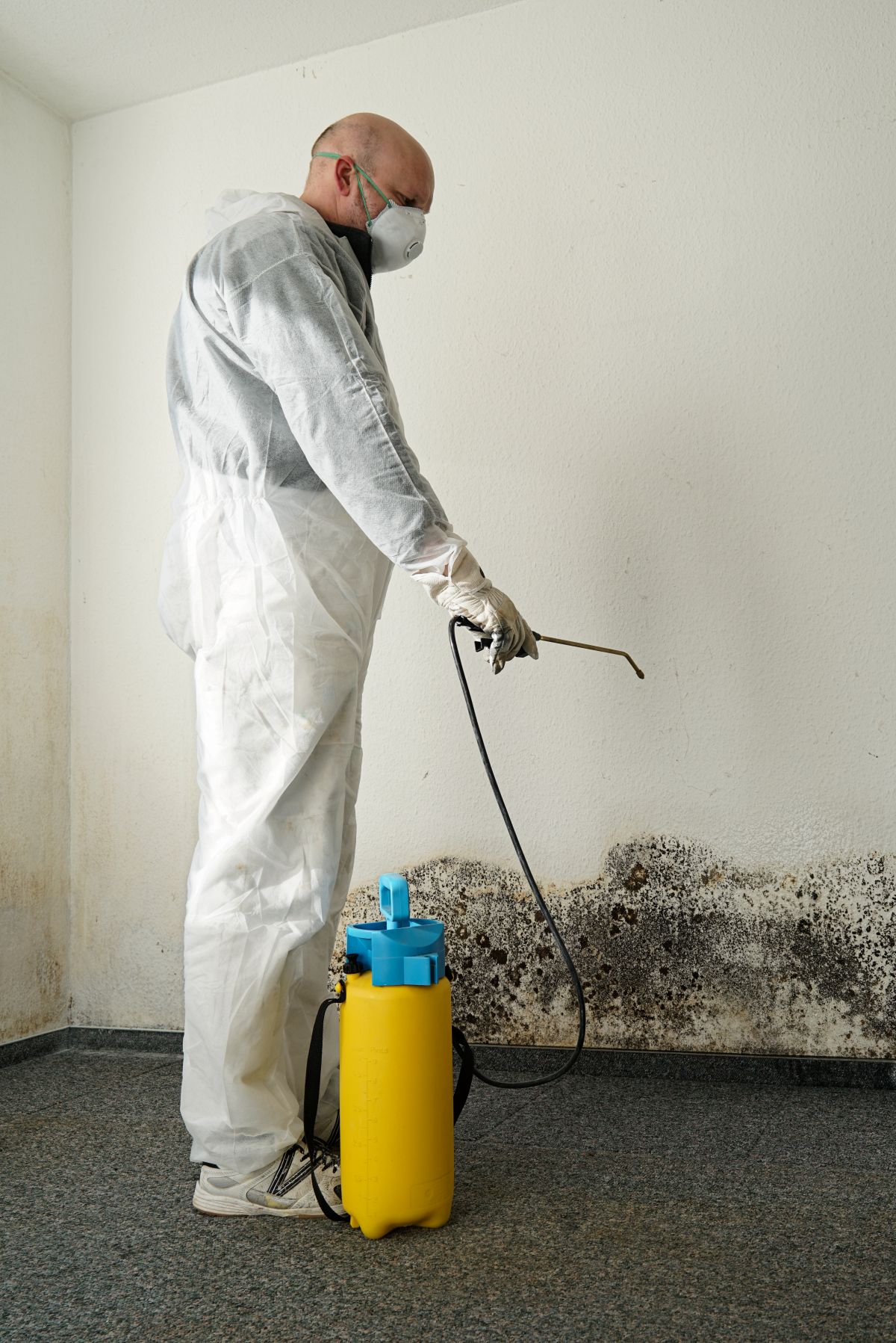 Mold Remediation