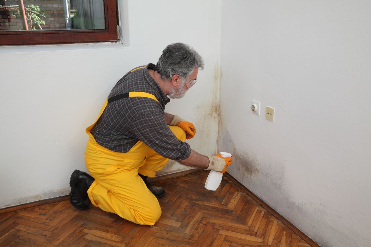 Mold Remediation