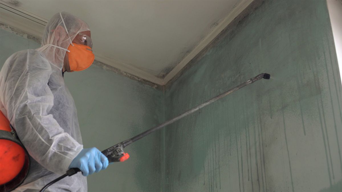 Mold Remediation
